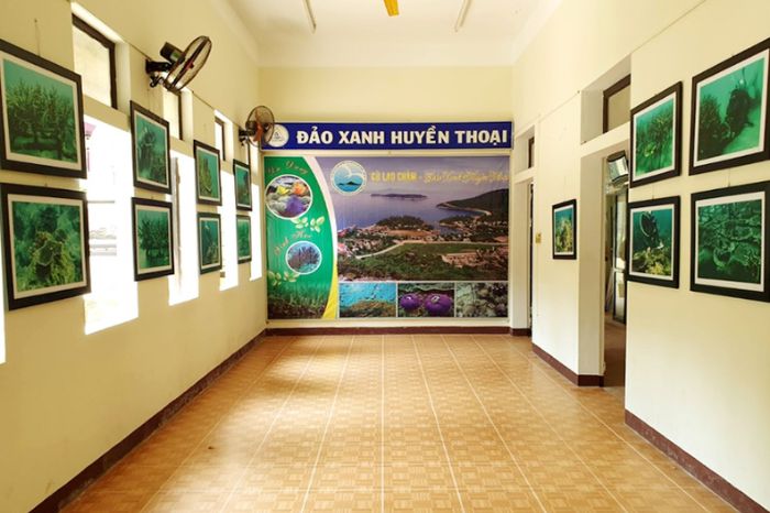 khu bảo tồn biển Cù Lao Chàm