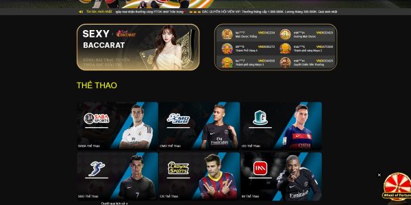 95vn cung cấp đa dạng các môn thể thao