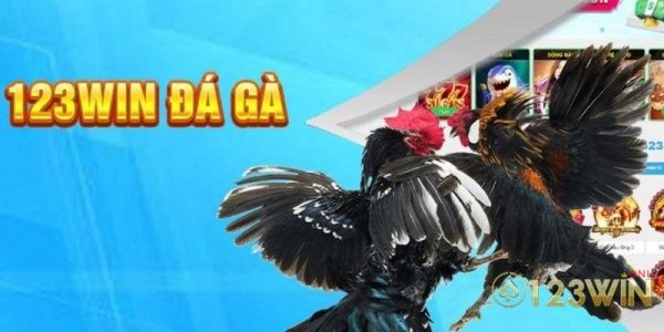 Đá gà tại 123win từ AOG và WS168